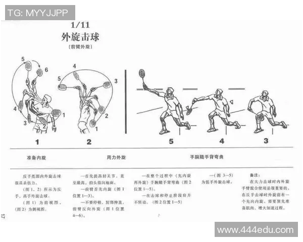 初学者必看网球入门技巧与个人能力提升全攻略